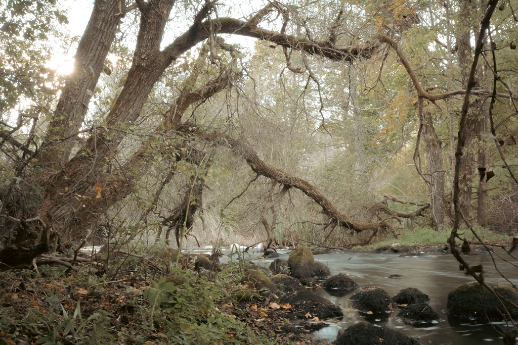 01 esikoht dsc3058 20251015 v