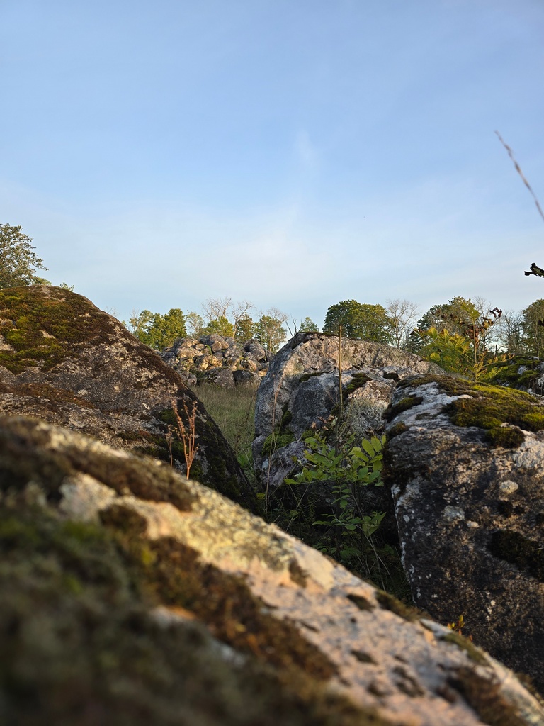 02 lapsed 20250926 183810 20251009 v