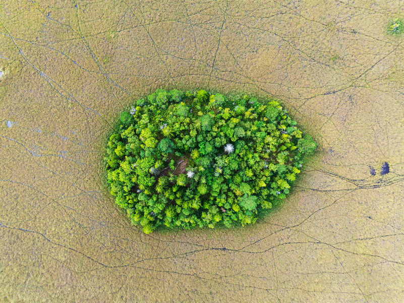 05 hiis sz 250813 l2d 20c003 20251013 v