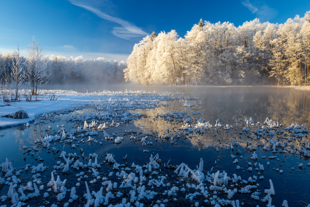 09 lk 53521004151 ac4b2e7a16 o 20250810 v