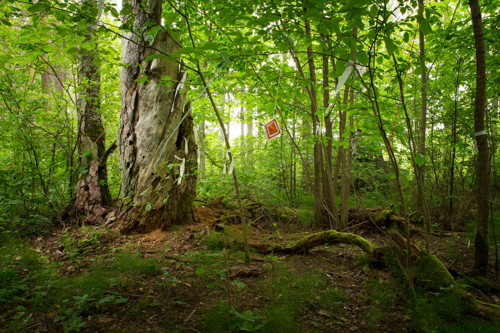 10 annid img 1697 20250930 v