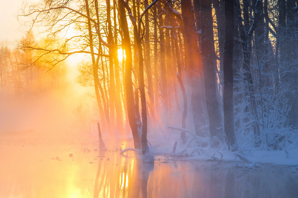 14 tervis img 3291 20250810 v