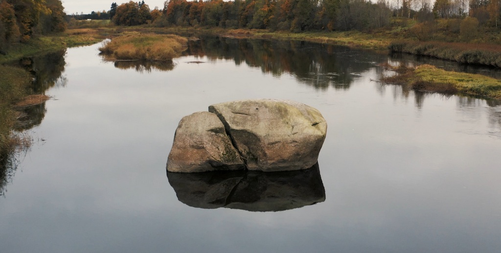 21 liikuvkuva hiiesüda v