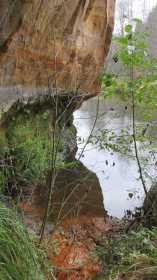 Vaade Uku koopast: allikast saab jõgi