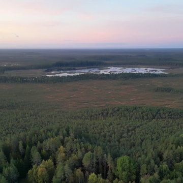 Tõivere 