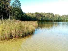 Озеро Светлояр и часовню Казанской Божией Матери (Нижегородская область) 
